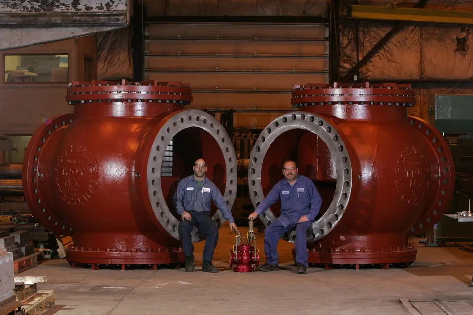 Ross Valve - 48" In-Line Strainer