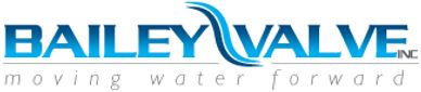 Bailey Valve